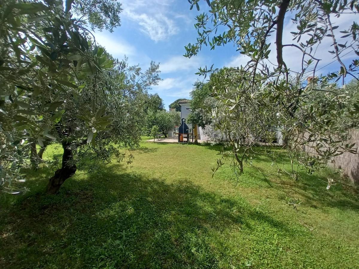 Marčana Holiday House Chill Out Loborika מראה חיצוני תמונה